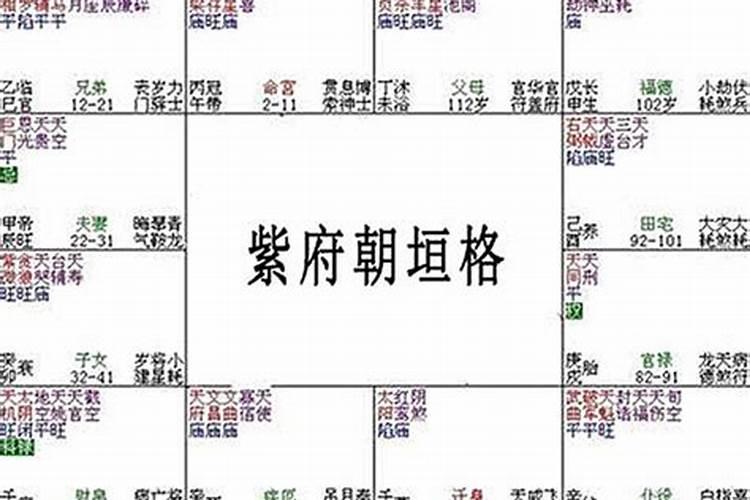 紫圣2021年运势