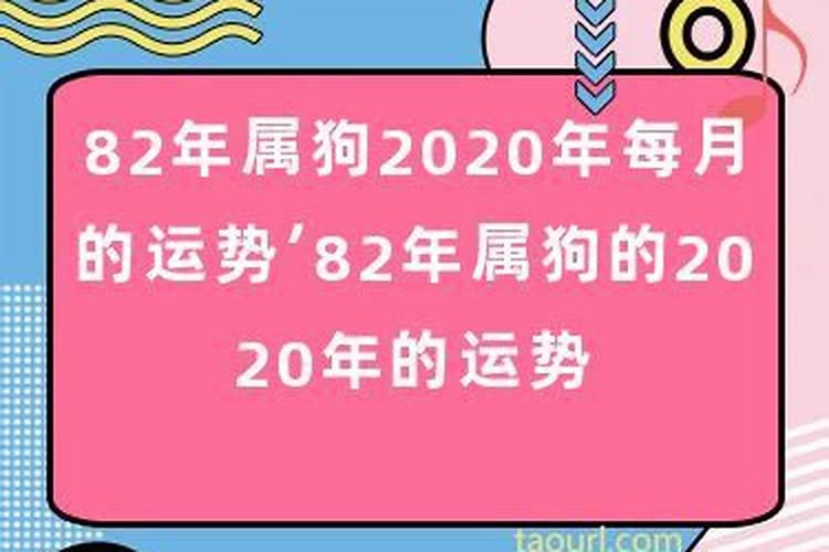 82年狗狗2021年运势