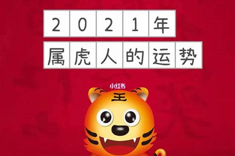 属虎的2022本命年