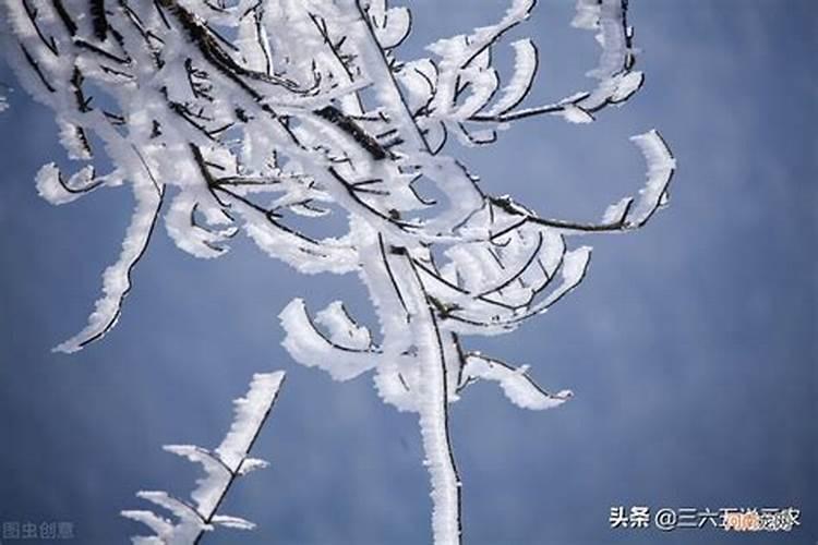 梦见下雪寓意什么