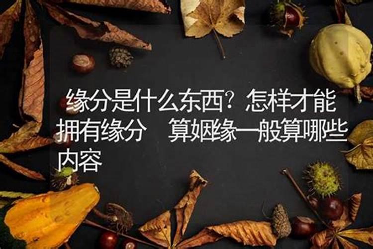 算命一般算哪些方面姻缘