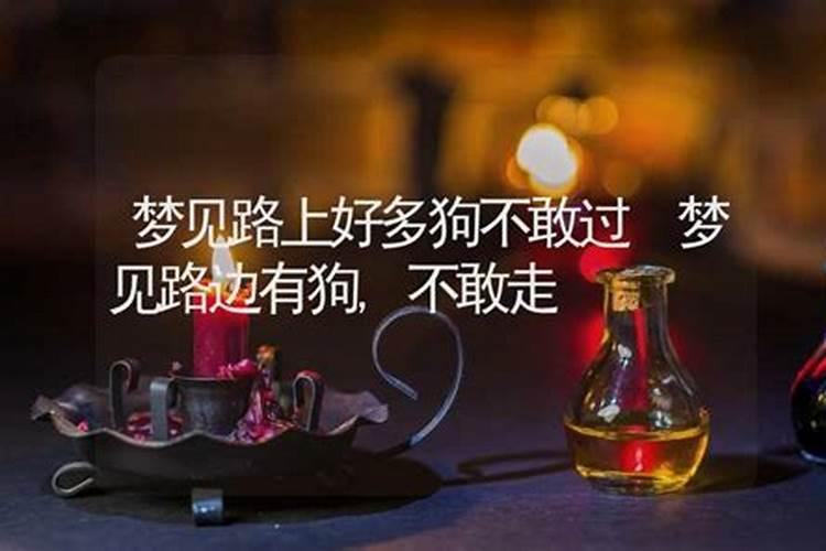 梦见走到处是狗我无路可走