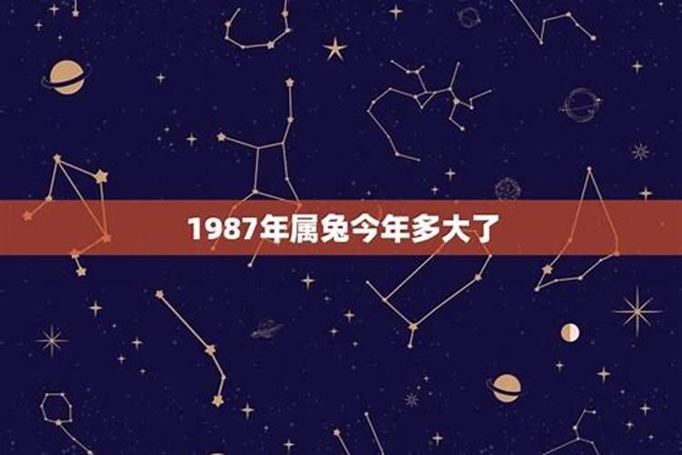 属兔的今年多大1987年出生的人