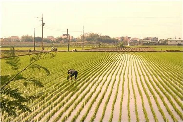 梦见发大水挡住回家的路