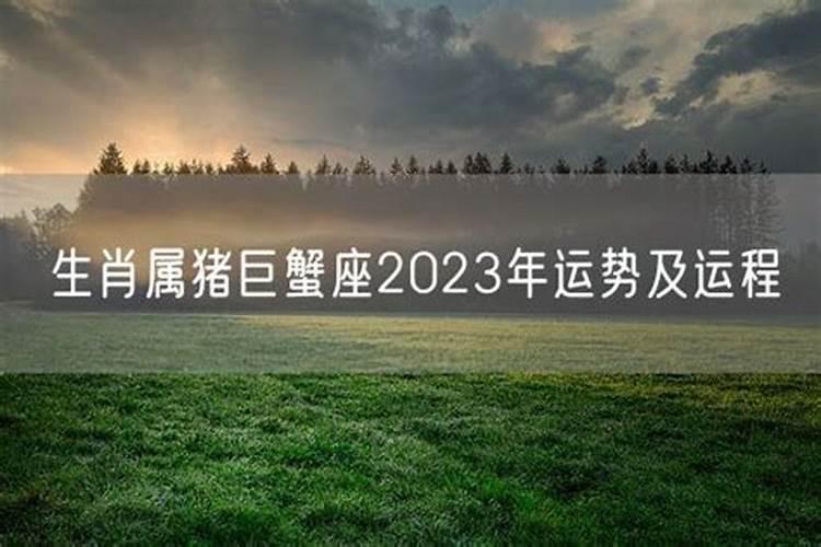 天秤座2023年运势完整版