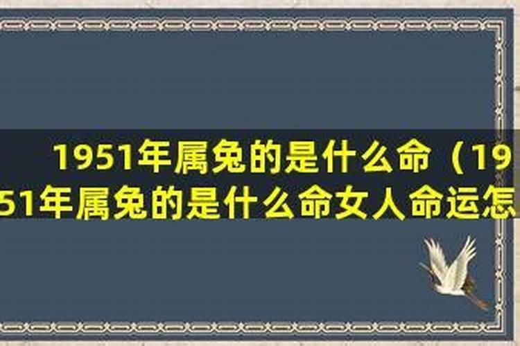 1951年出生今年命运好不好