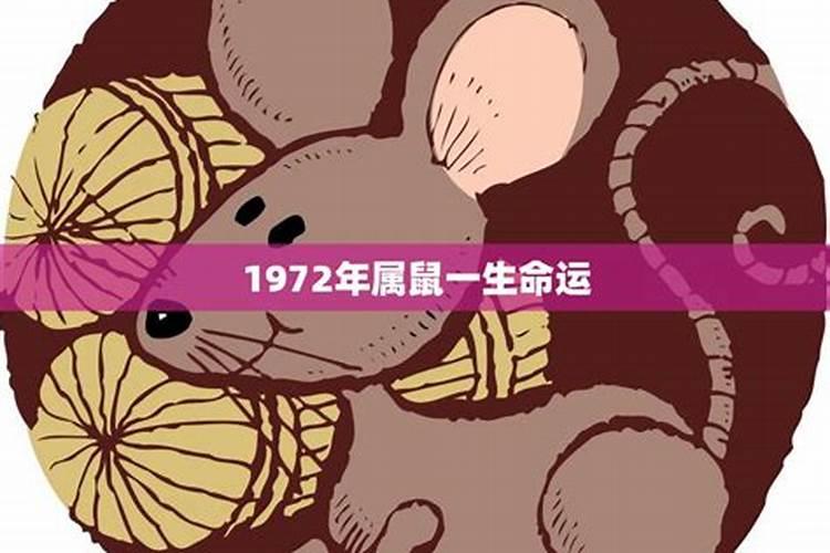 1972年属鼠人一生三大劫