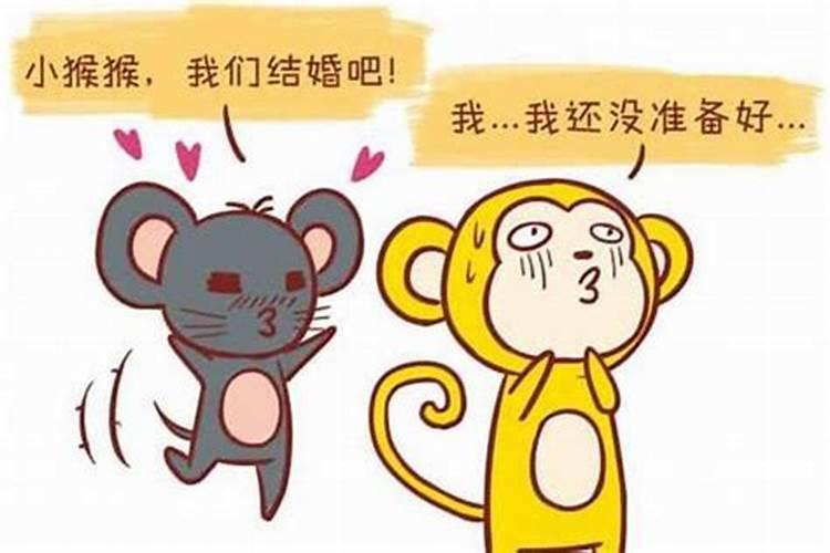 猴与鼠八字合不合适结婚呢