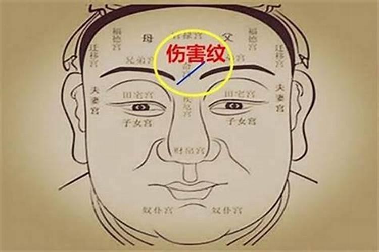 看一个人的运势主要看哪几方面的