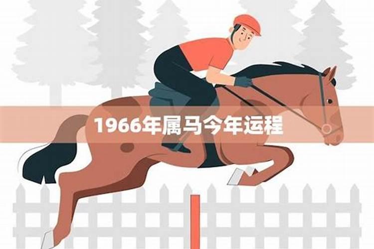 1966年属马今年运程