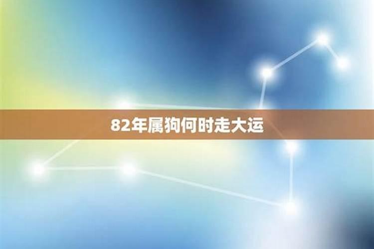 82年属狗之人在什么年走大运