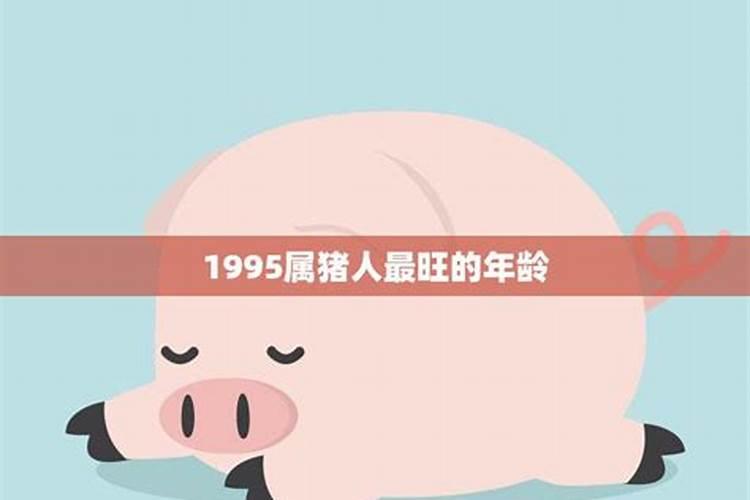 1995属猪人2023年运势