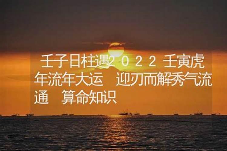 壬子日柱庚子流年