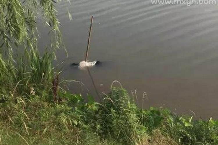 梦见带死去的人去一个地方玩