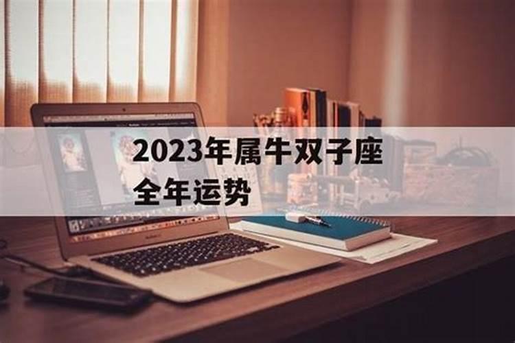 属牛双子座2021年