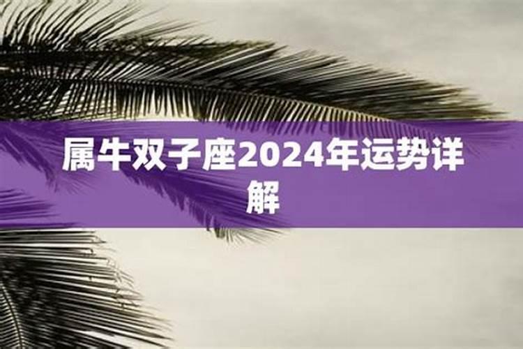 生肖牛双子座2020年运势