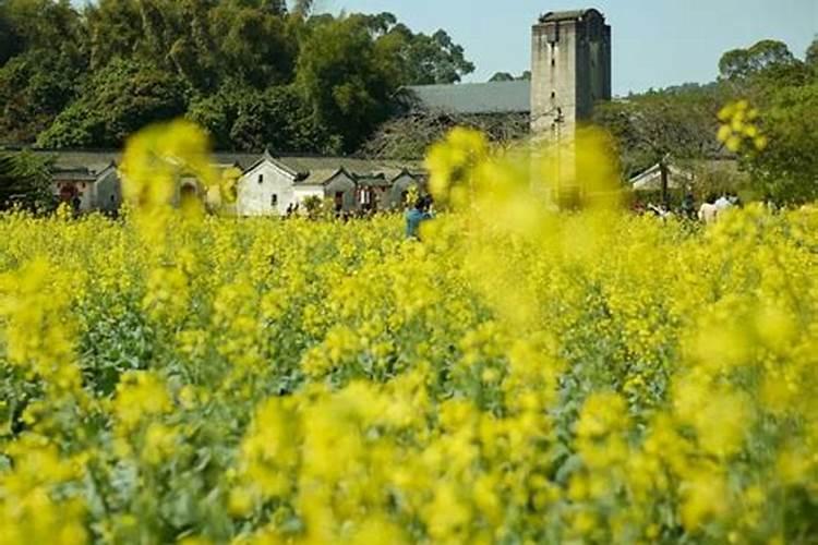 深圳清明节去哪