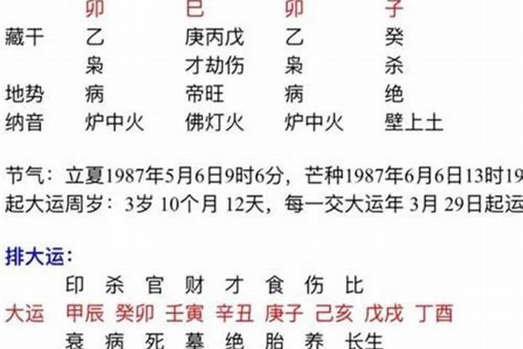 生辰八字亥是什么意思