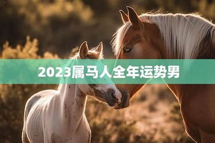 2021属马男全年运势