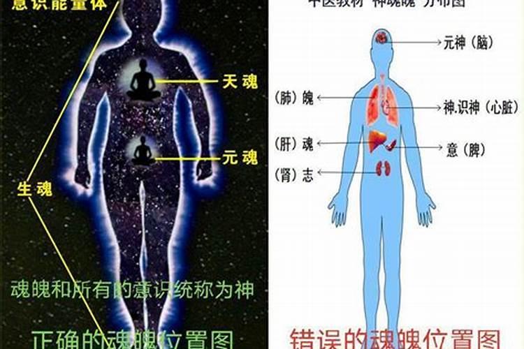 梦到活人的魂魄是什么意思啊