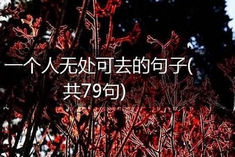 梦见别人无家可归无处可去