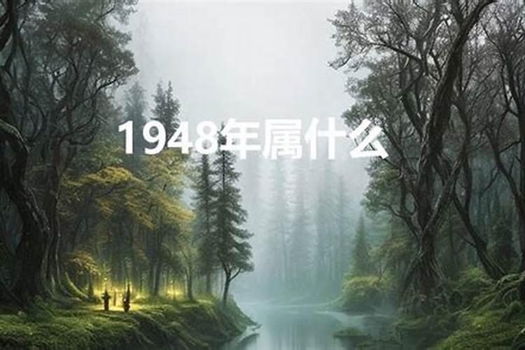 1948年属什么生肖运势