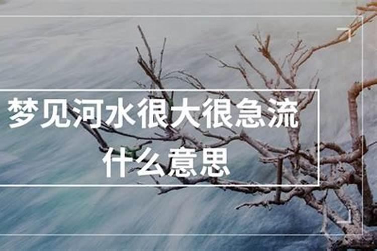 梦到河水很大很清什么意思