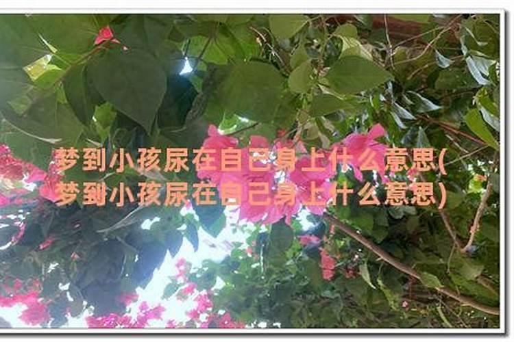 梦到婴儿尿到我身上好不好