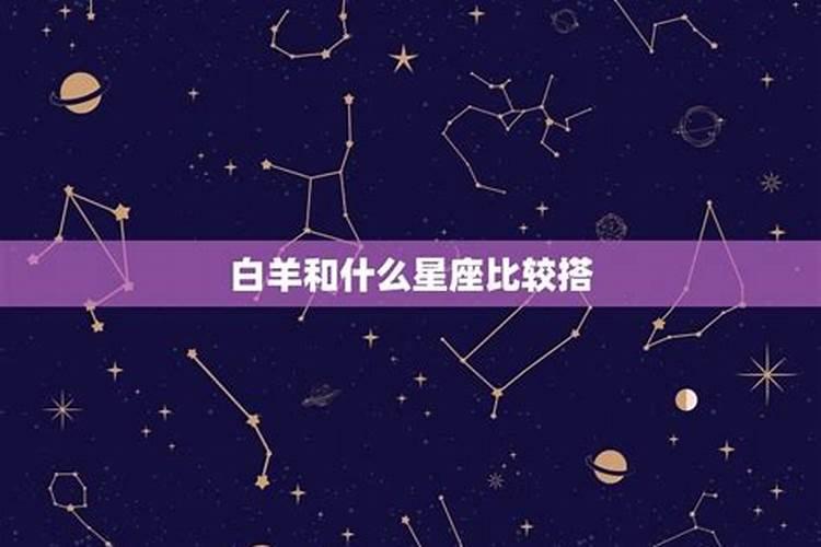 白羊座不适合哪个星座