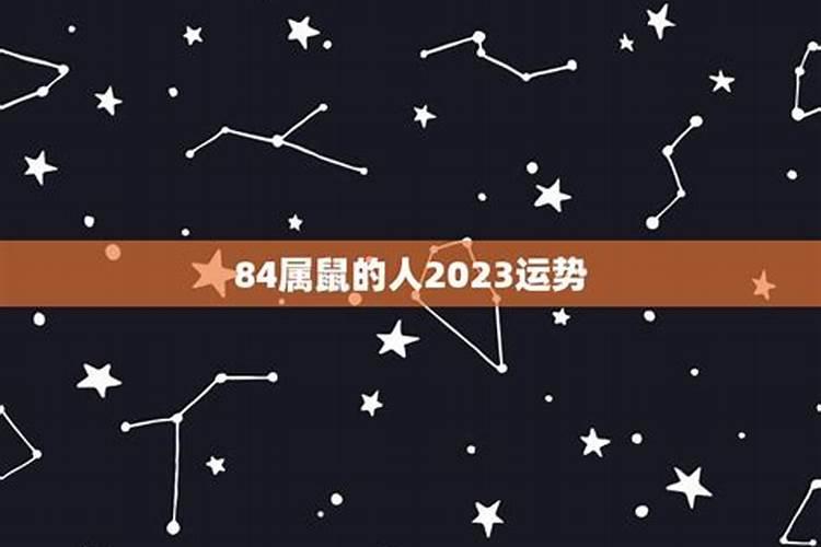 1984年2023年运势