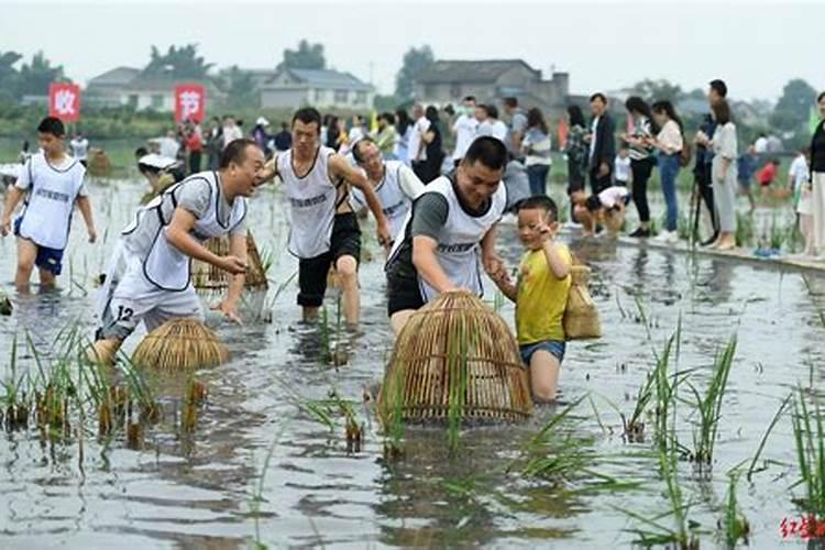 梦到在鱼塘里抓鱼吃