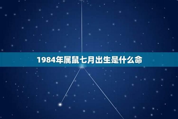 84年7月属鼠的人[year]年运程