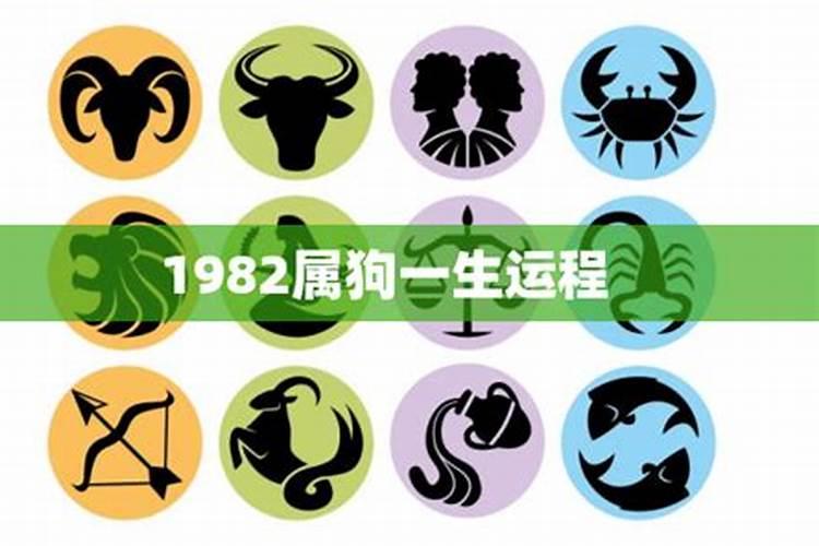 1982年属狗人一生运势