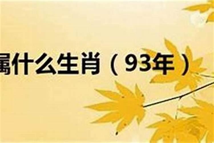 93年立春前出生属相是