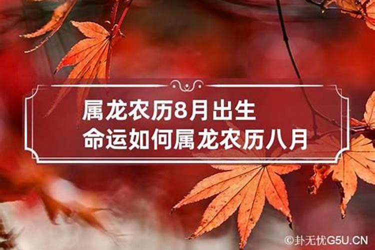 8月属龙的运势如何呢女孩子怎么样