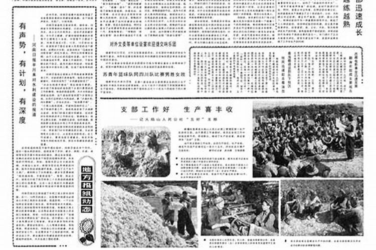 1959年11月2号出生运势