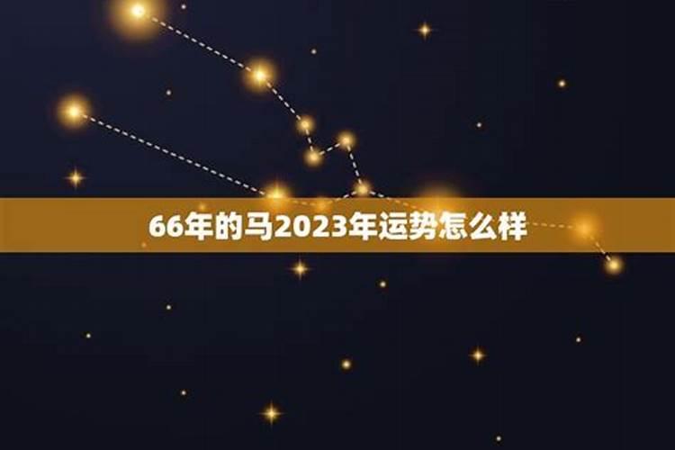 66年男马2023年运势