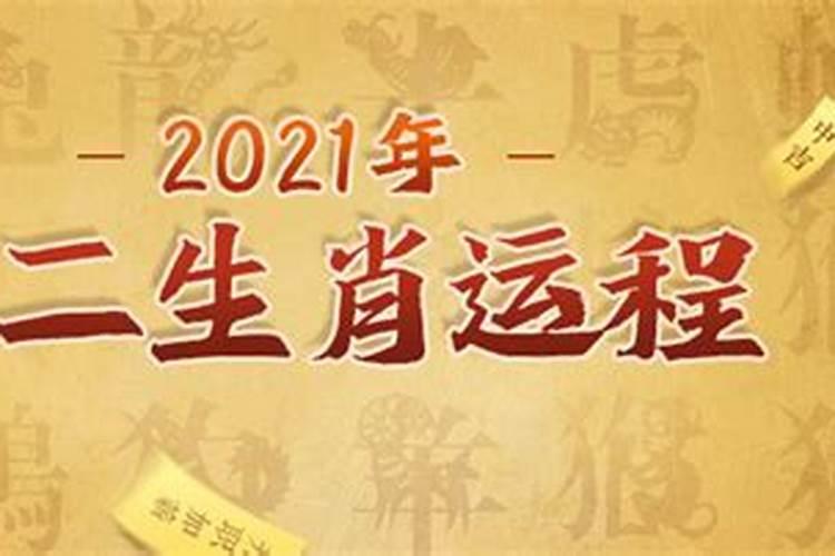 属相运势2021年运势