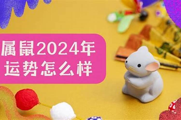 2026年属鼠的运势怎么样