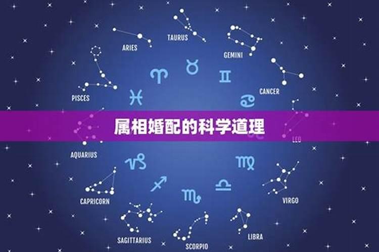 婚配属相有科学道理吗