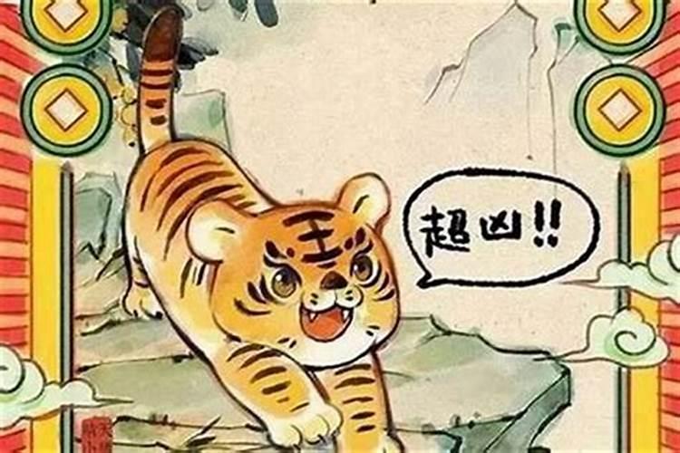 虎人猪年运势如何