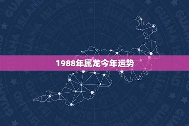 1988属龙今年的运程如何