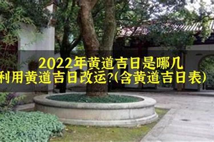 69年出生属鸡2023年运势运程