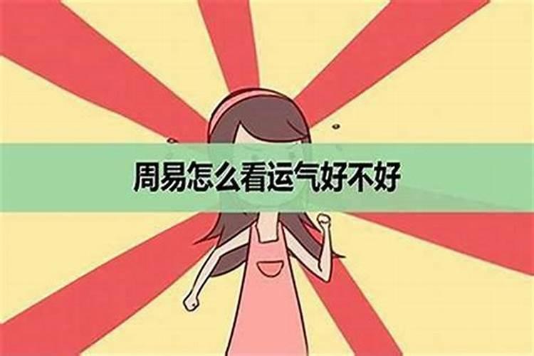 如何看一个人感情运势