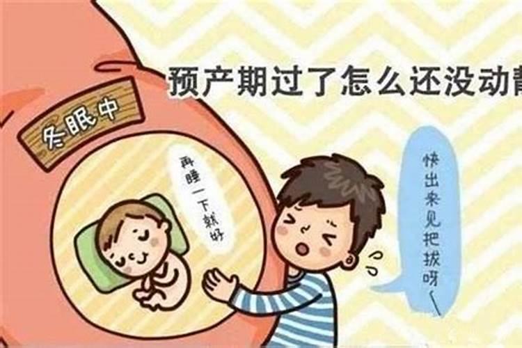 梦见自己怀孕肚子大了快生了