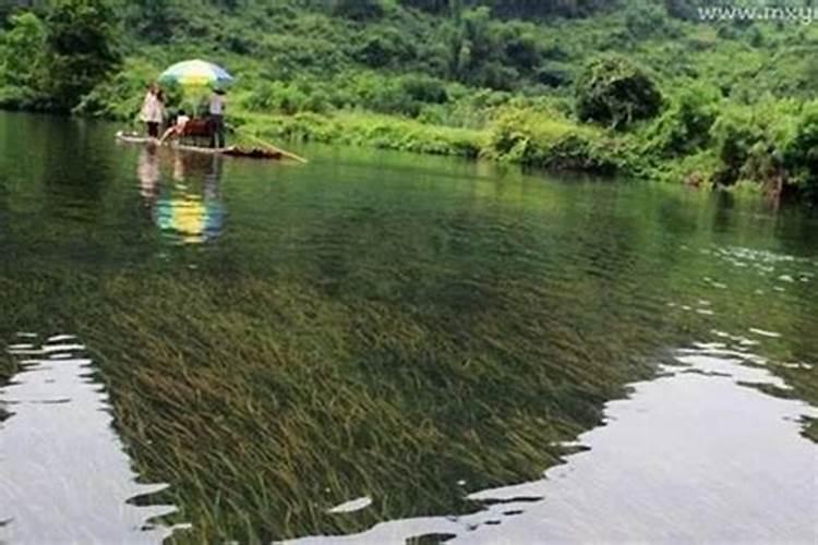 梦见河水梦见河水