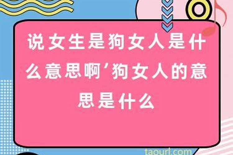 梦到狗意思是什么意思啊