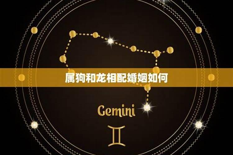 星座说我们不配怎么办