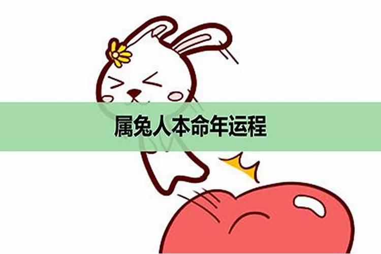 属兔人6月份运势如何财运怎么样