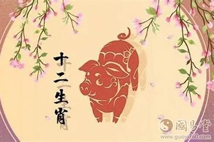 26岁属猪今年运势